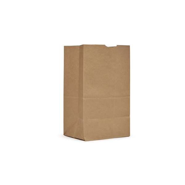 Ajm Packaging AJM 20# Kraft Squat Bag, PK500 SQ40NP5C